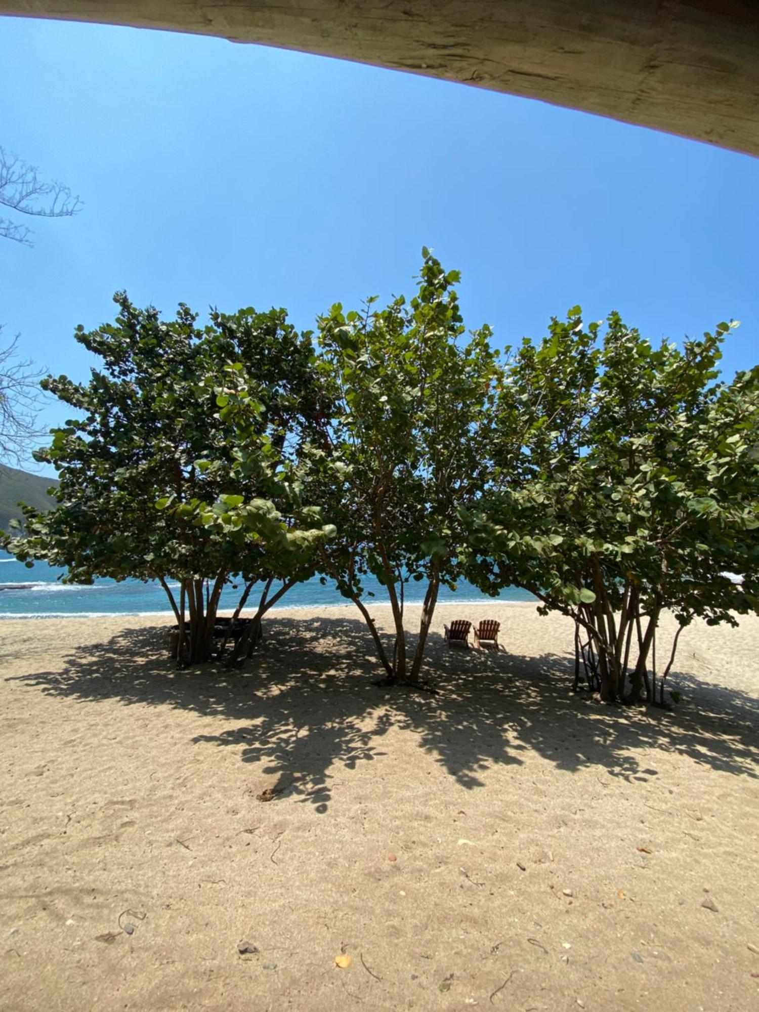 Wachakyta Ecolodge Calabazo  Exterior photo